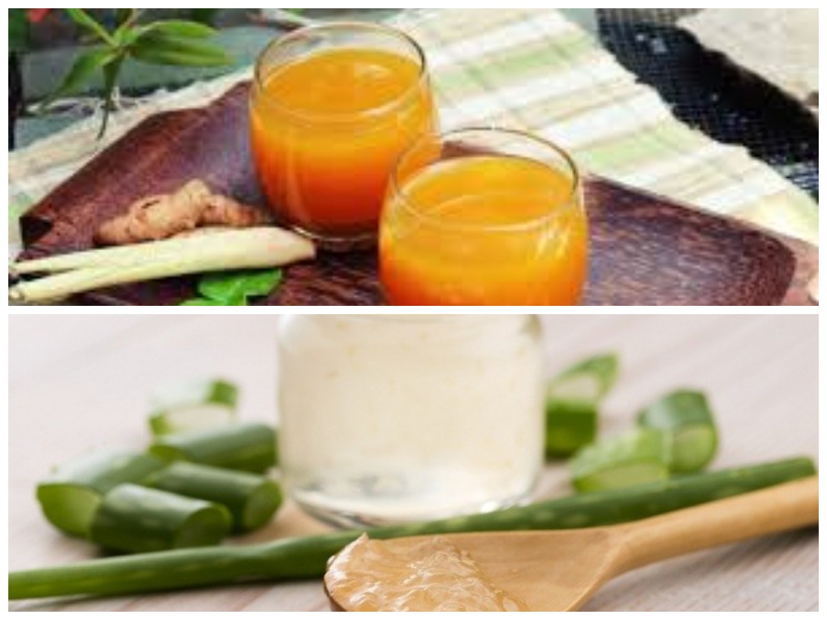 Atasi Maag dengan Alami, Inilah 4 Obat Herbal yang Paling Manjur