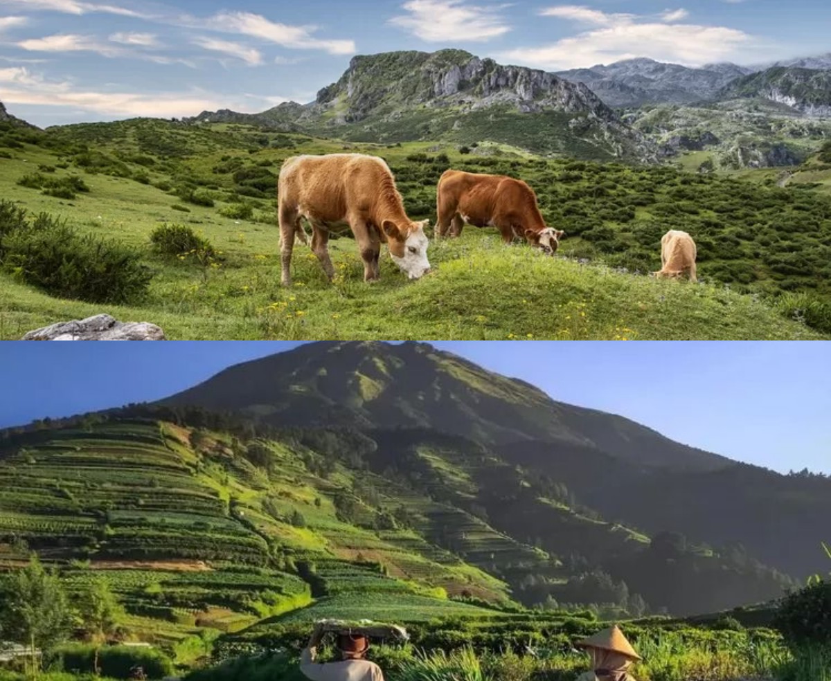 5 Rekomendasi Objek Wisata Magelang Tanpa Biaya, Ideal untuk Liburan Murah!