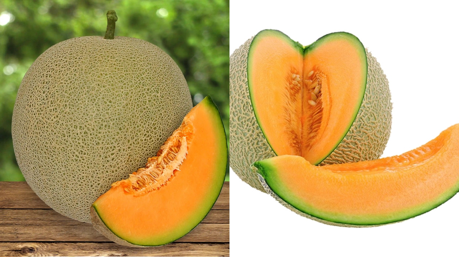 Kaya Akan Nutrisi, Inilah Manfaat Buah Melon Jika Rutin Kalian Konsumsi!