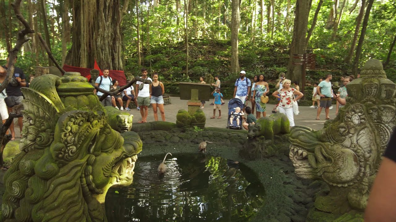 Kekayaan Budaya Tanah Air! inilah Keajaiban Mandala Suci Wenara Wana di Bali