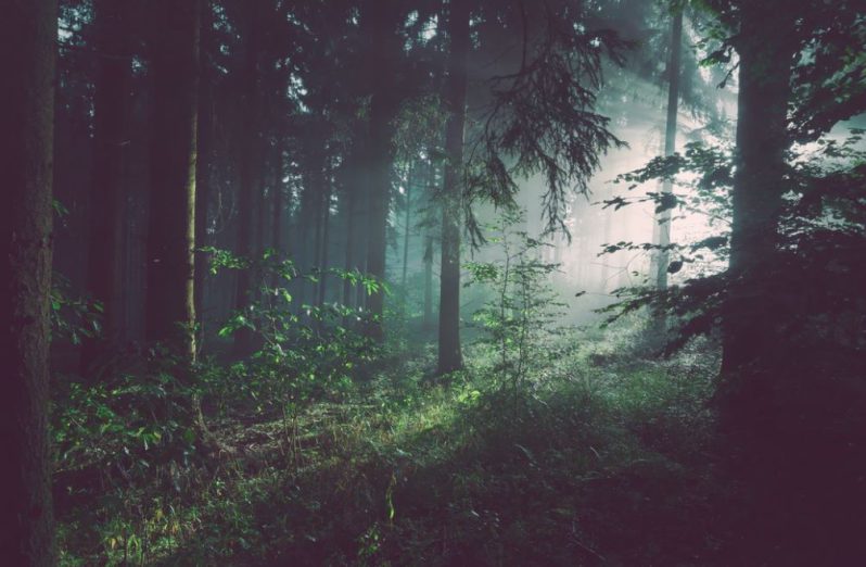 Bikin Merinding, Ini 4 Bukit Terangker di Indonesia, Ada Yang Pernah Kamu Kunjungi?