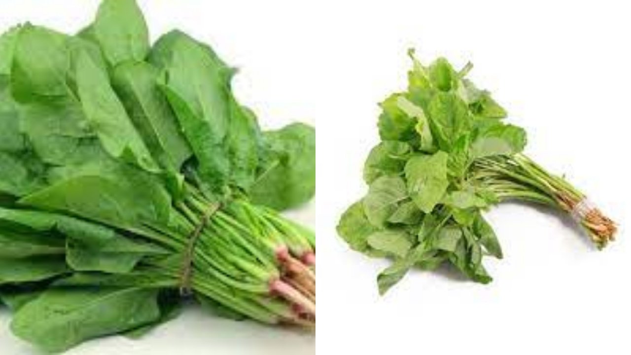 Tak Hanya Lezat, Ini Teryata Manfaat Bayam Bagi Kesehatan Tubuh Yang Luar Biasa!