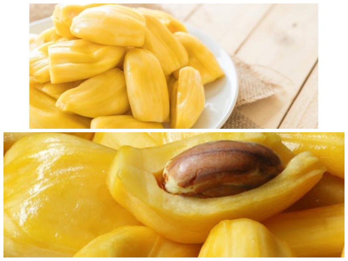 Manfaat Buah Nangka untuk Kesehatan: Lebih dari Sekadar Rasa Manis