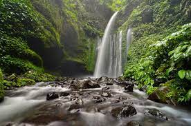 Deretan Air Terjun Lombok Utara, bakalan bikin Kamu Ga Mau Pulang!