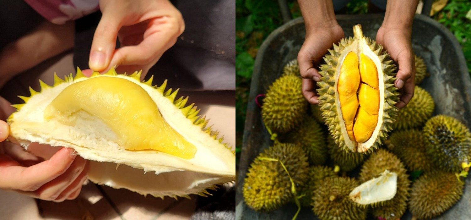 Jangan Terkecoh! Makanan-Makanan yang Harus Dihindari Saat Menyantap Durian