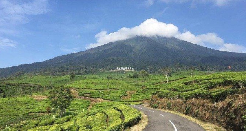 Jalur Pendakian Gunung Dempo Dibuka, Brigade Register 500 Pendaki