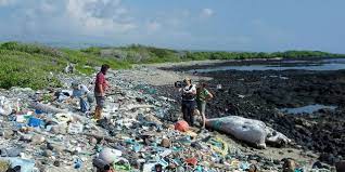 Bikin Miris, Inilah 3 Pantai Terkotor yang Ada di Indonesia