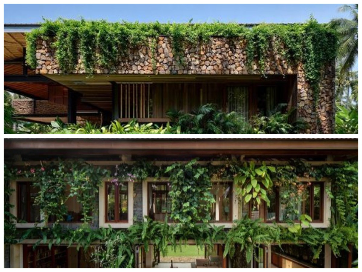 11 Ide Dekorasi Pot Tanaman Rambat untuk Mempercantik Rumah agar Terasa Lebih Hijau dan Menenangkan