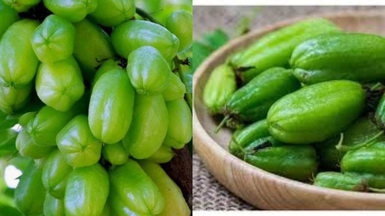 Tak Hanya untuk Masakan, Ini Manfaat Belimbing Wuluh bagi Kesehatan Tubuh!