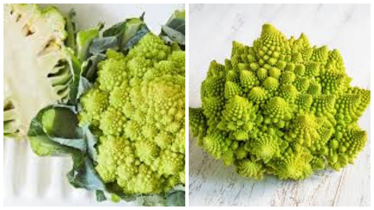 7 Manfaat Romanesco, Brokoli Sehat dengan Bunga Mirip Piramida
