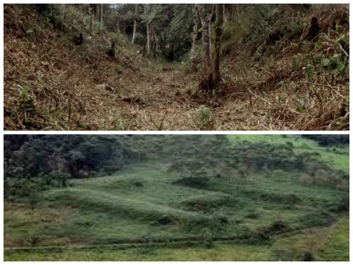 Misteri Kota Kuno di Hutan Amazon Terungkap: Jejak Peradaban Maju 2.500 Tahun Silam