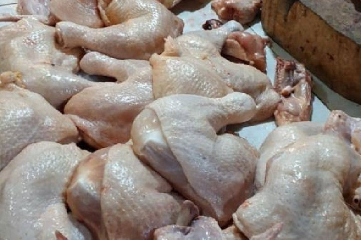 Fluktuasi Harga Komoditas Pangan di Pagaralam, Harga Cabai Tinggi, Ayam Potong Stabil