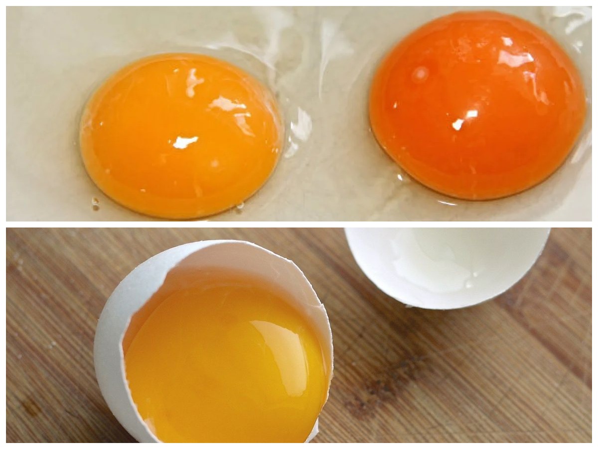 Manfaat Kuning Telur untuk Kesehatan: Kaya Nutrisi, Asal Tidak Berlebihan!