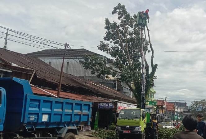 PUTR Pangkas Pohon, Dukung Keandalan Jaringan Listrik PLN