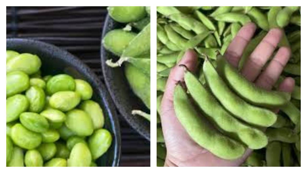 5 Kelebihan Edamame bagi Kesehatan Tubuh