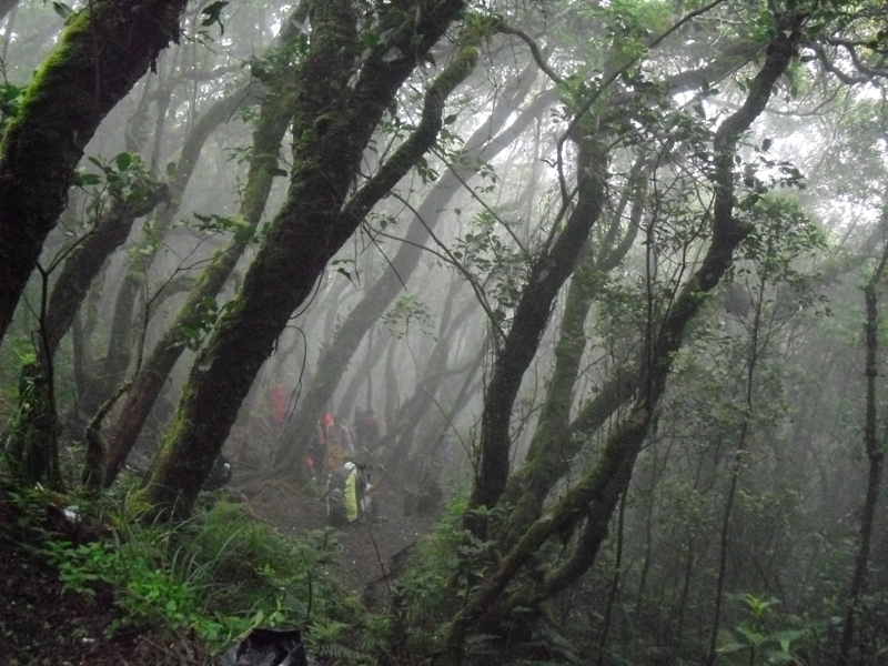 Ini Dia Deretan Misteri. Mitos dan Fakta Seputar Gunung Gede Pangrango, Nomor 3 terdapat Raksasa Hitam!