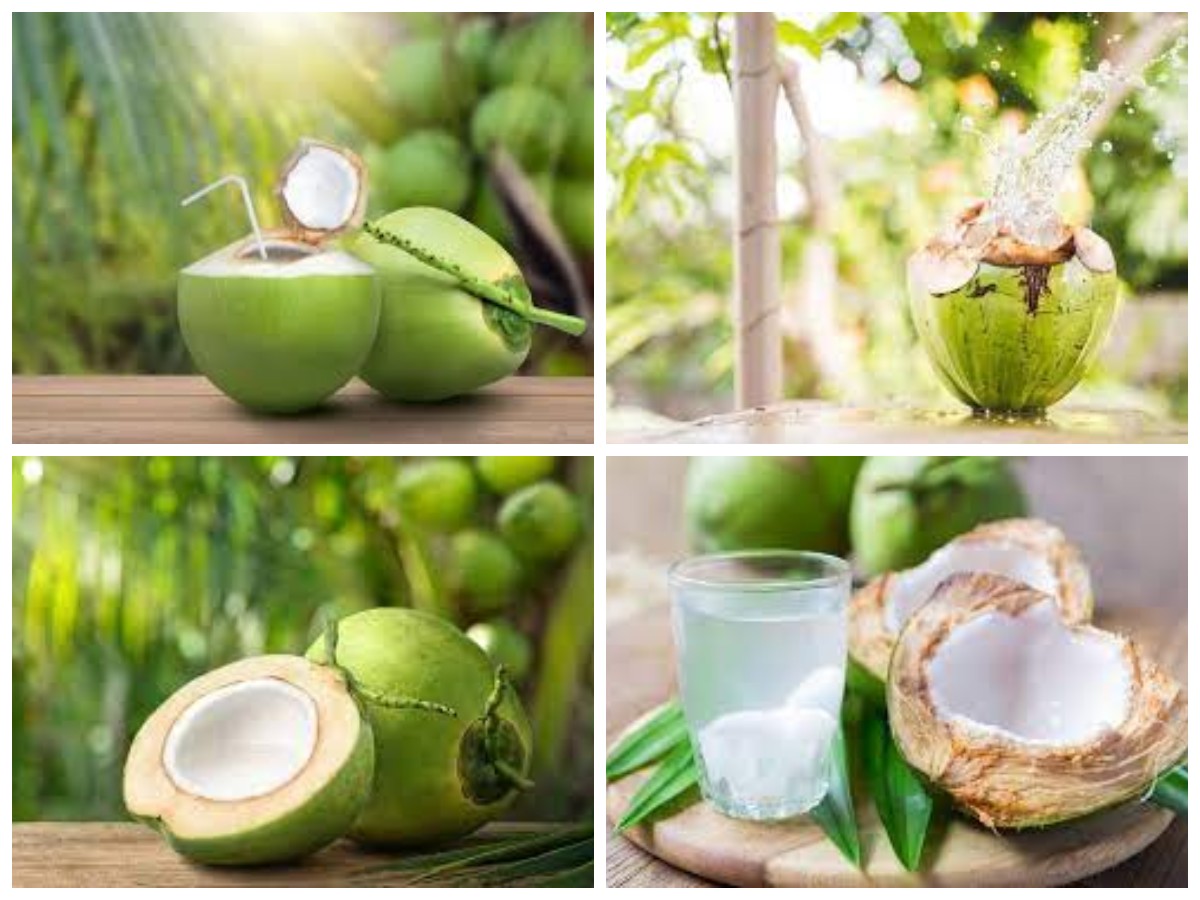 Mengkomsumsi Air Kelapa Setiap Hari? 5 Hal yang Terjadi pada Tubuh Anda!