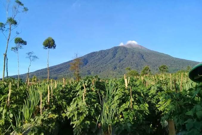 Keren, Ternyata Ini Mitos dan Ramalan Misterius Gunung Slamet