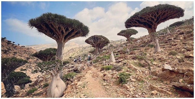 Mengungkap Misteri Pulau Socotra! Banyak Dipercaya Adanya Keberadaan Dajjal Disini! 