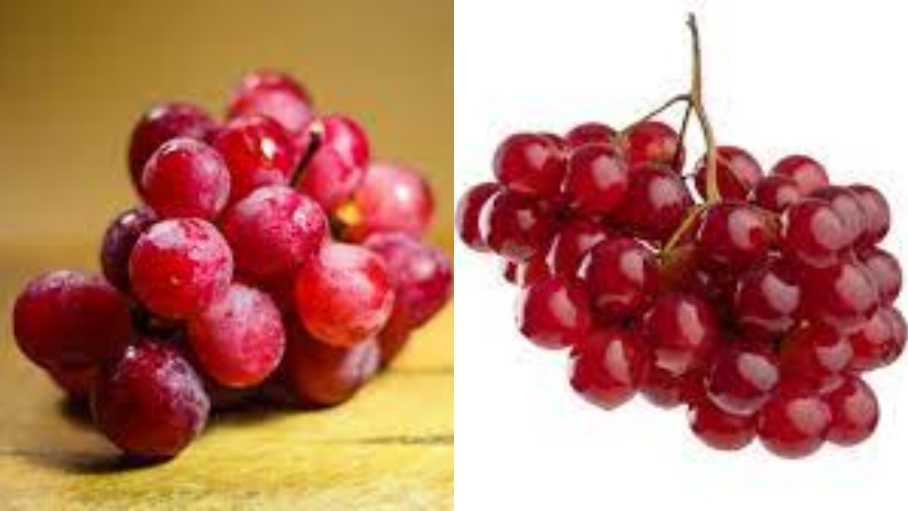  Jangan Lewatkan! Inilah Manfaat Angur Merah Untuk Kesehatan Yang Luar Biasa