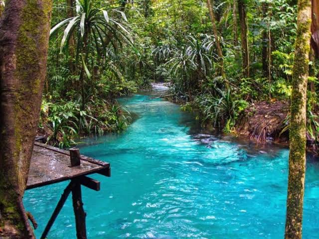 Berkecambah dari Sumber Keberlimpahan, Daerah Penghasil Air Terbersih di Indonesia