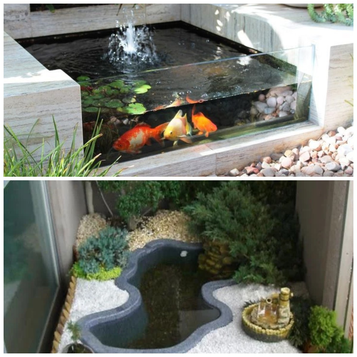 Rahasia Membuat Kolam Ikan Mini di Lahan 1 Meter, Tetap Mewah tapi Low-Budget