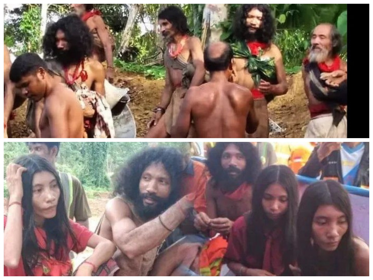 Suku Togutil Halmahera Kembali Muncul: Apa yang Terjadi Saat Mereka Bertemu Pekerja?