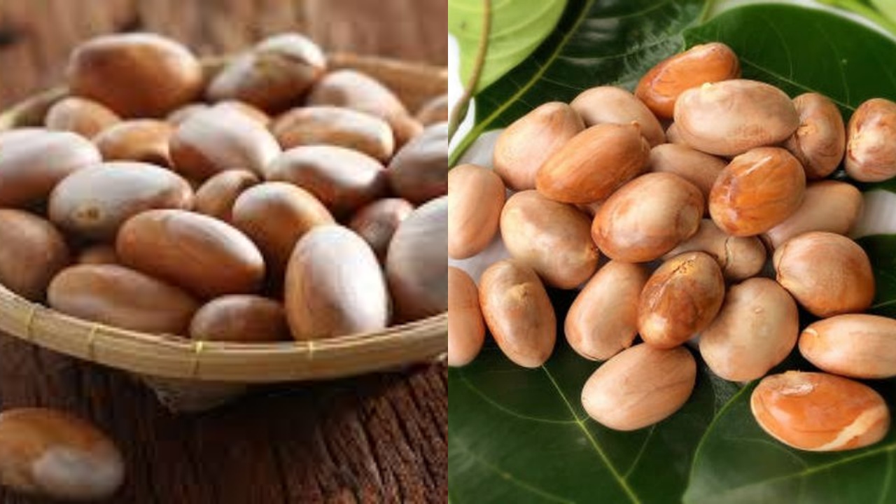 Jangan Sepelekan! Inilah 8 Manfaat Biji Nangka Bagi Kesehatan Yang Luar Biasa