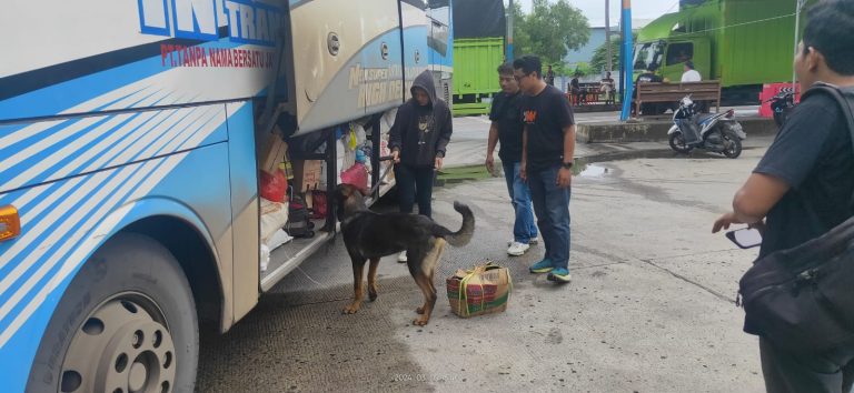 Anjing K9 Bantu Lacak Peredaran Narkoba di Pelabuhan Bakauheni, Ini Hasilnya