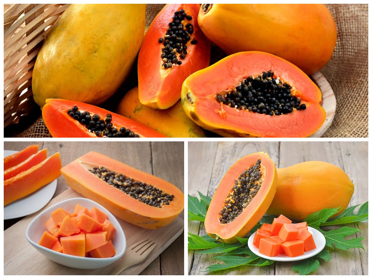 Manfaat Buah Pepaya bagi Kesehatan Tubuh: Sumber Nutrisi Alami yang Kaya Khasiat!