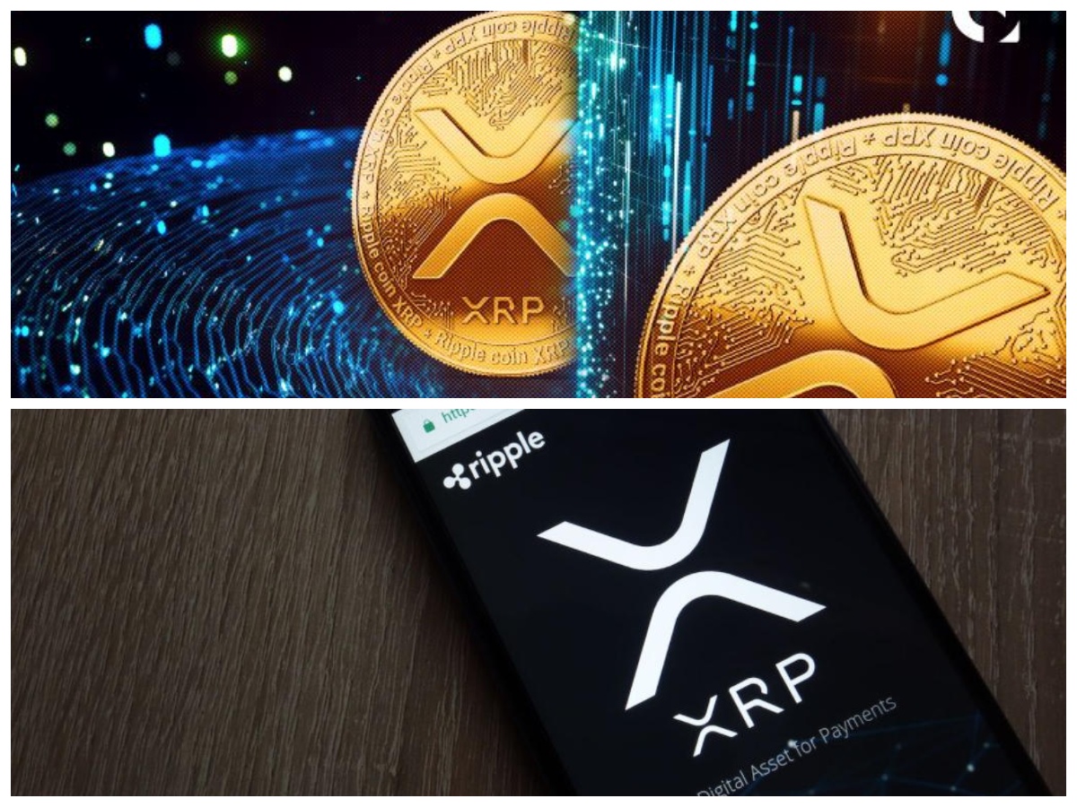 Antisipasi Koreksi Harga Ripple (XRP), Terapkan Strategi Perlindungan Investor