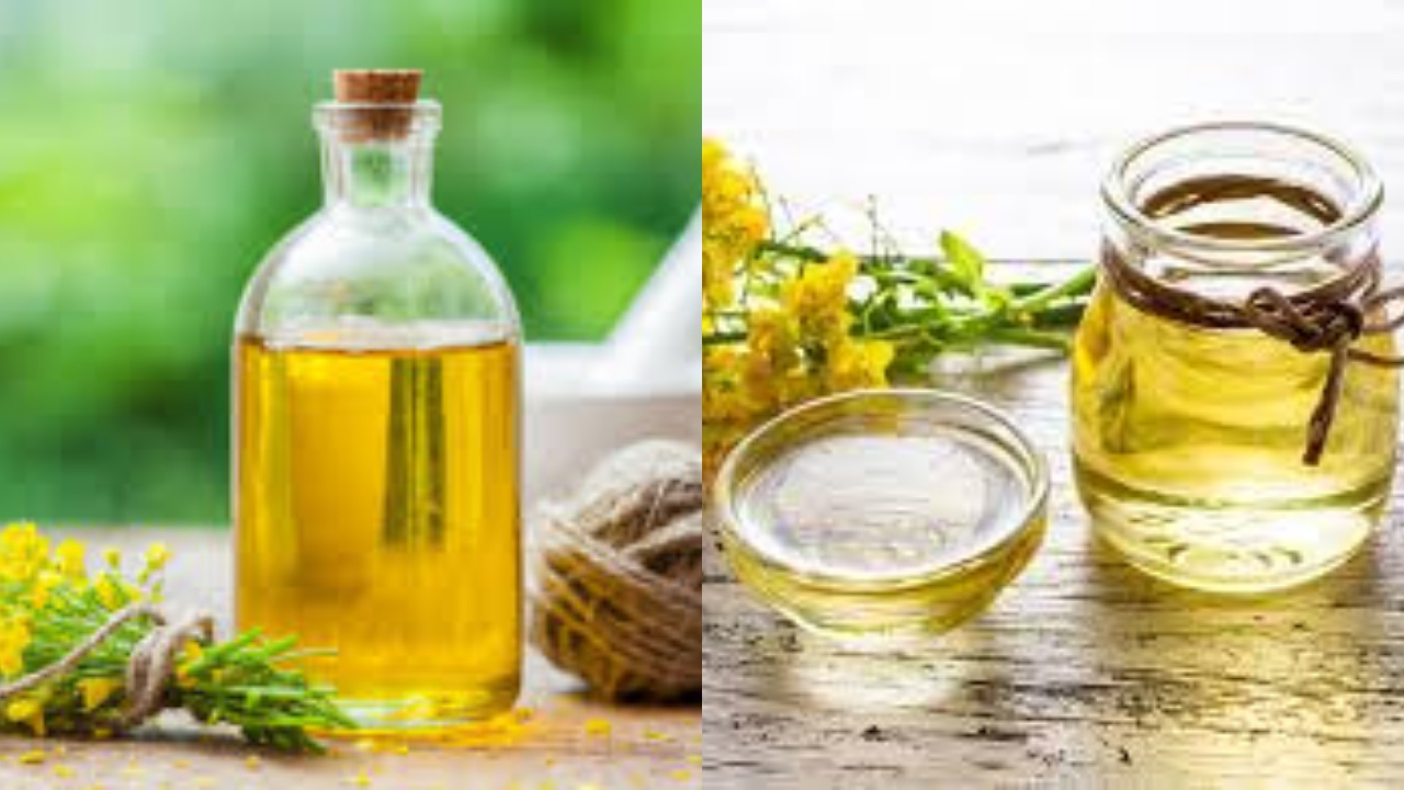 Jarang Diketahui Inilah Manfaat Minyak Kanola Untuk Kesehatan Yang Luar Biasa!