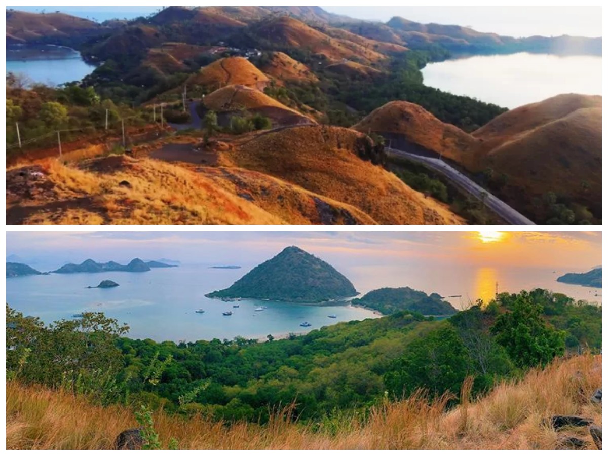 Bukit Sylvia Labuan Bajo: Menyusuri Keindahan dan Transformasi Pariwisata