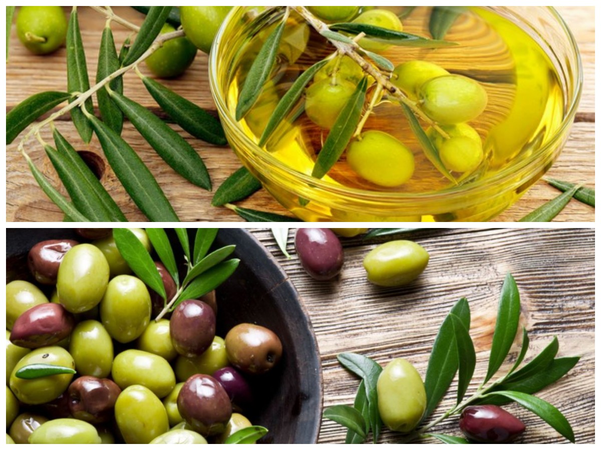 Manfaat Buah Zaitun untuk Kesehatan dan Kecantikan: Kunci Awet Muda Alami