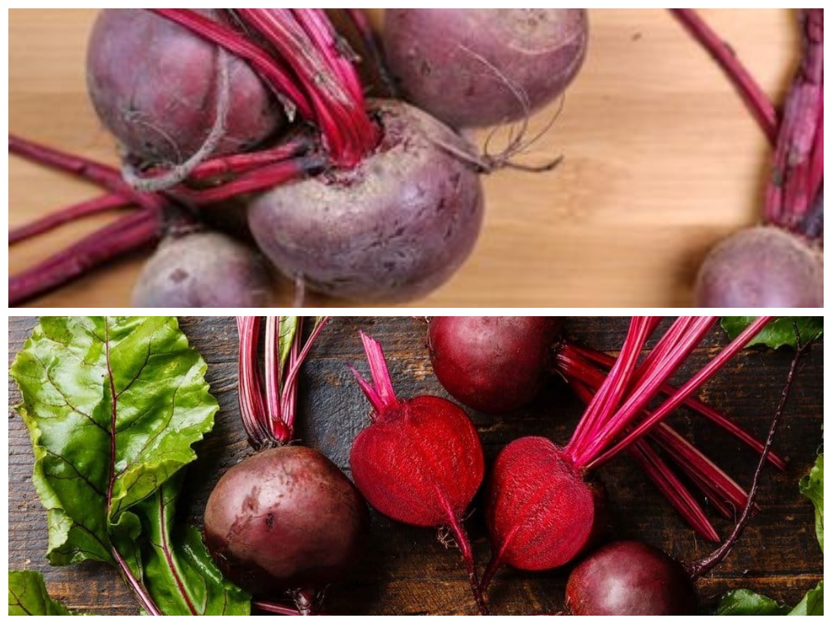  Rahasia Buah Bit: Cara Alami Menjaga Kesehatan Darah dan Tubuh