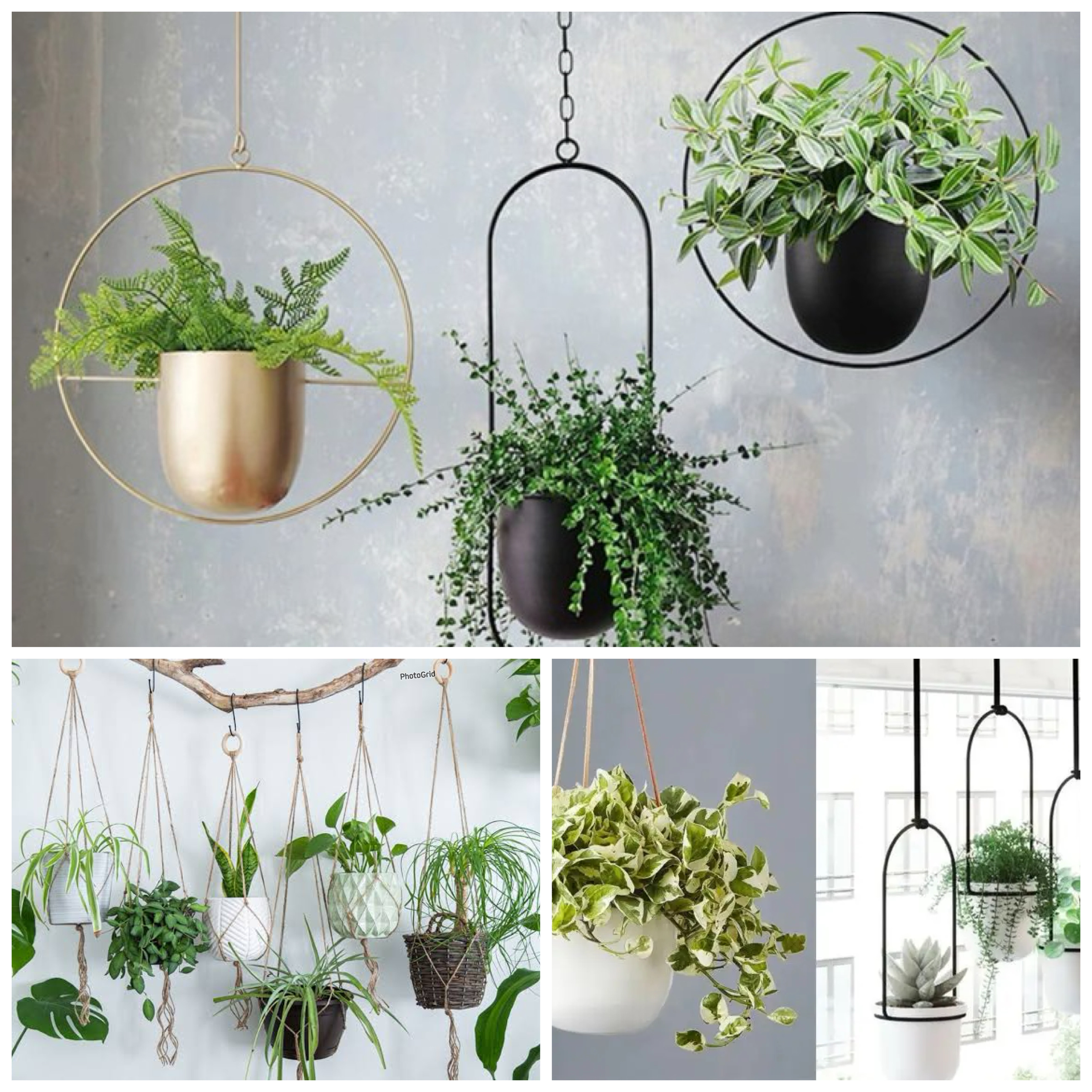 5 Cara Cerdas Menata Tanaman Bunga Kecil di Rumah Biar Makin Cantik dan Instagramable!