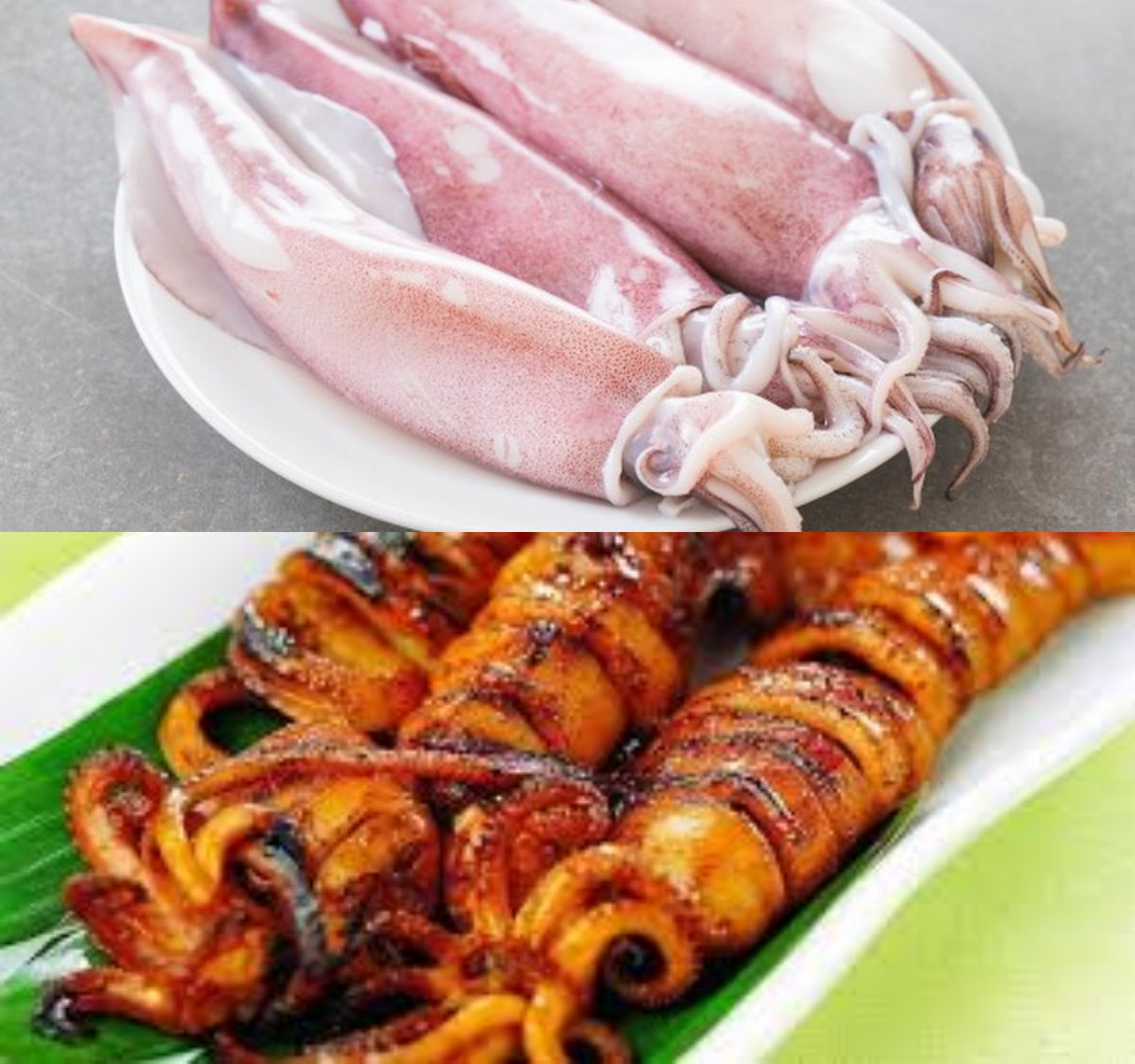 7 Keuntungan Mengonsumsi Cumi-cumi untuk Wanita Hamil!