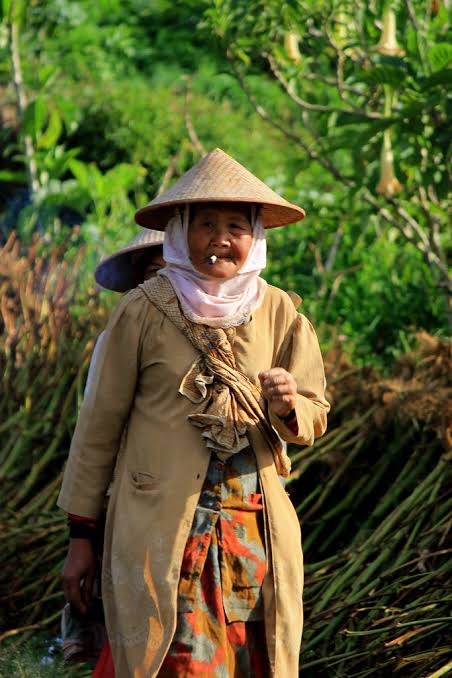 Wajib Dikunjungi! Ini Wisata Kubh Gadang Sumatera Barat, Ada Apa Yah?