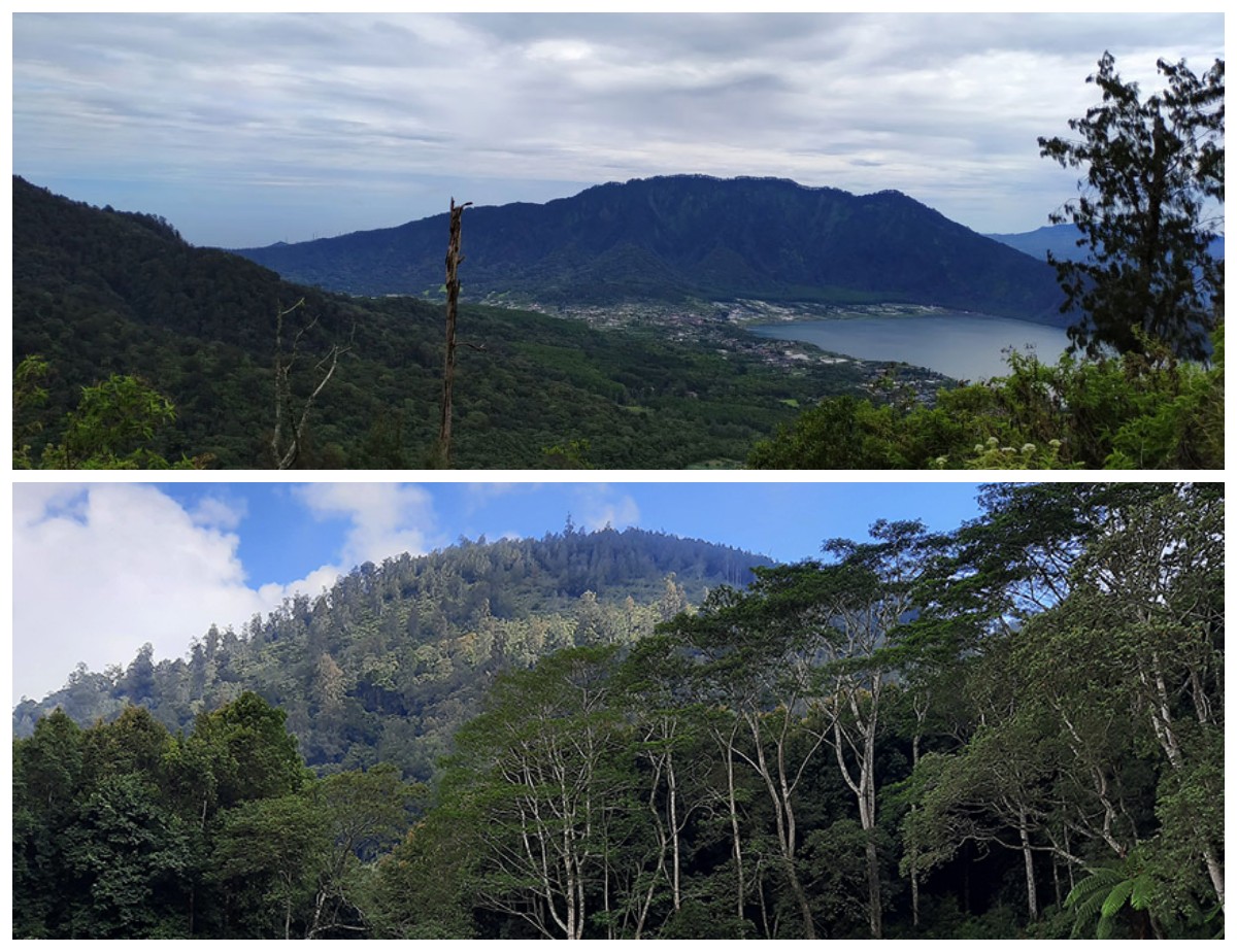 Mengungkap Legenda Gunung Pohen: Makna Nama dan Spiritualitas yang Menyentuh