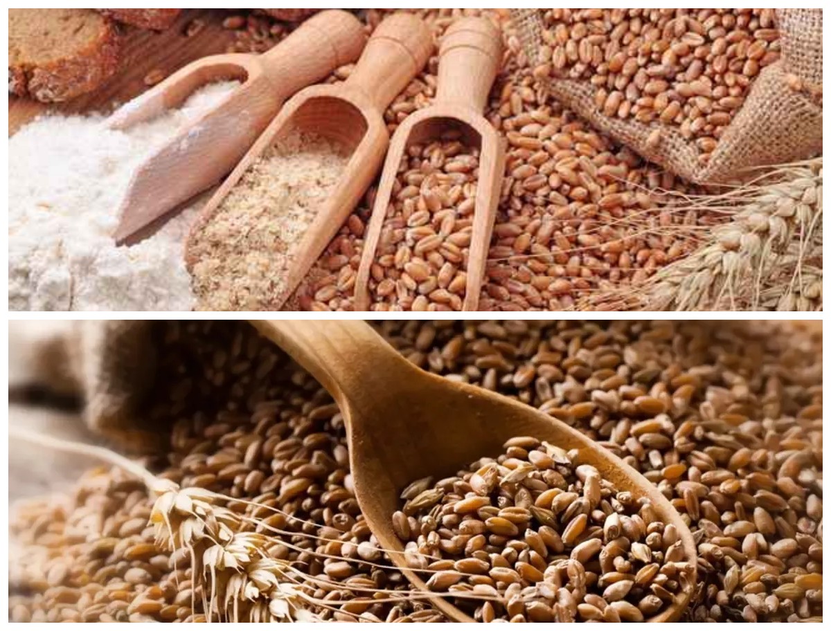 Inilah 6 Manfaat Gandum bagi Kesehatan Tubuh yang Bisa Menunjang Pola Hidup Seimbang!