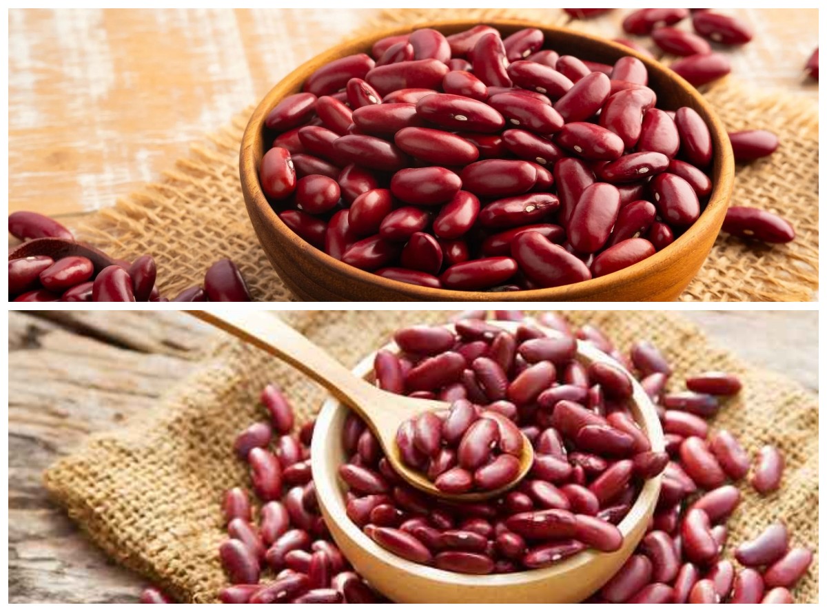 Manfaat Kacang Merah bagi Kesehatan Tubuh: Menjaga Jantung, Menstabilkan Gula Darah!