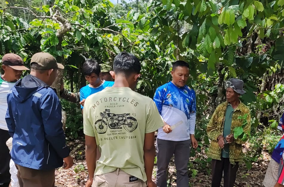 Pelajari Tehnik Stek Berakar Tanaman Kopi, Petani Pagar Alam Study Banding ke Lampung