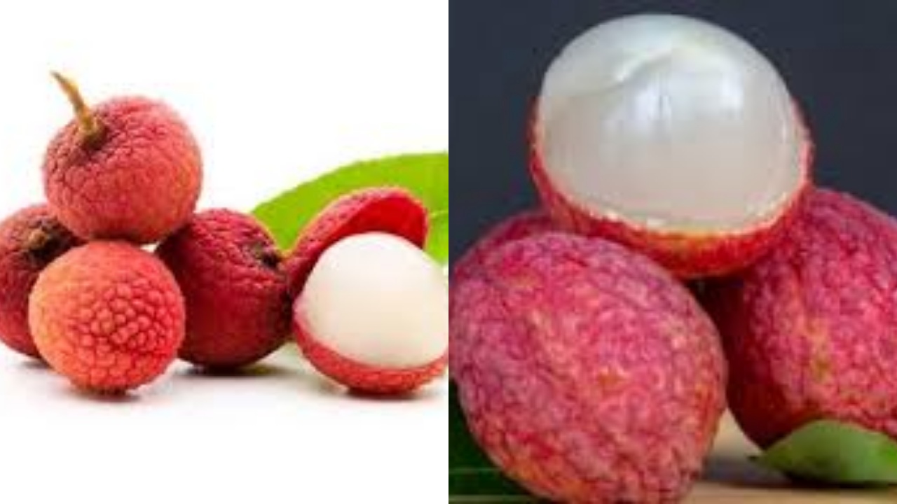 Wajib Ketahui 5 Manfaat Buah Leci untuk Kesehatan Ibu Hamil Sumber Vitamin C Yang Baik