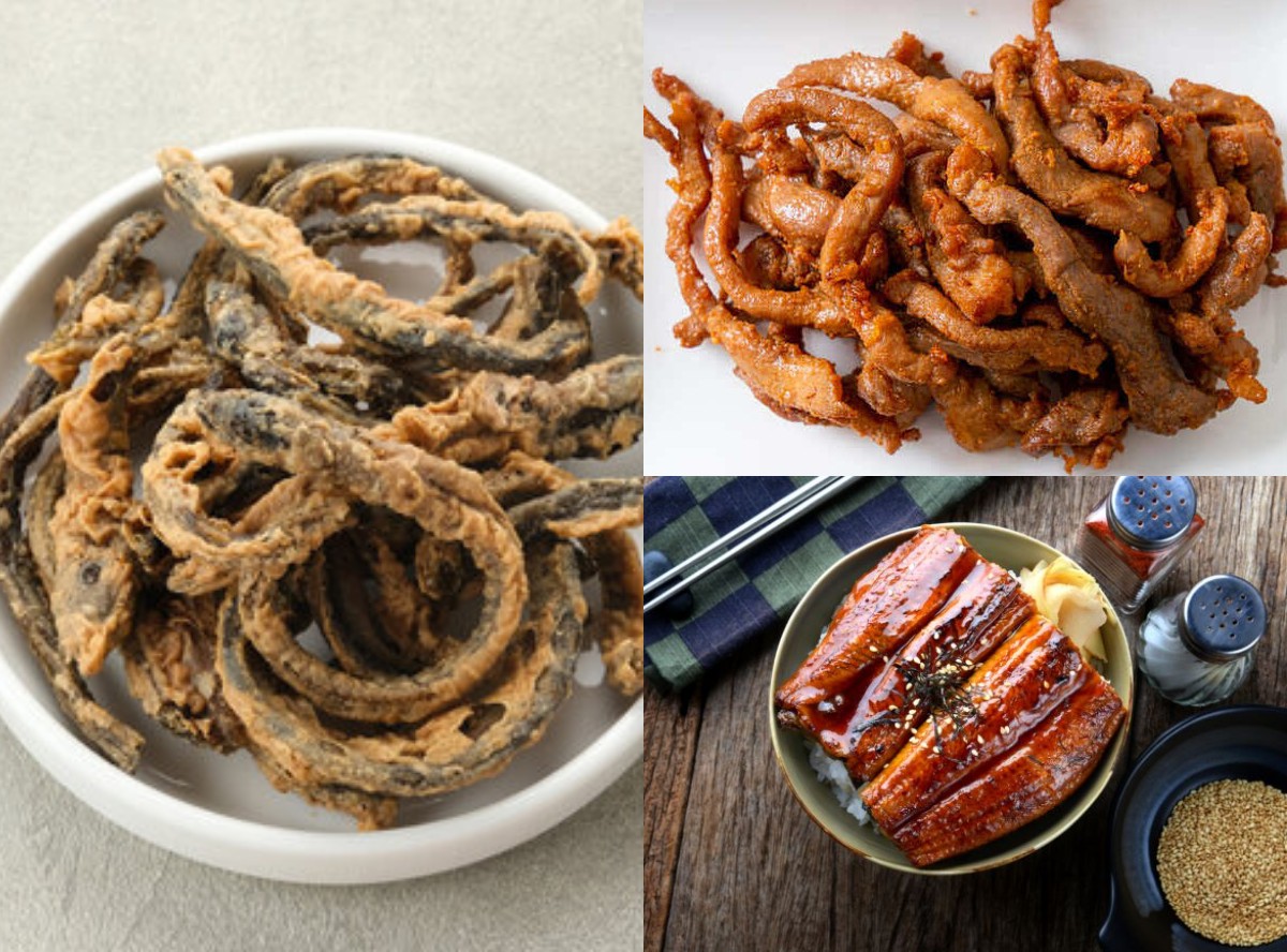 Manfaat Belut Bagi Ibu Hamil Nggak Main-main, Ternyata Ini Manfaatya!