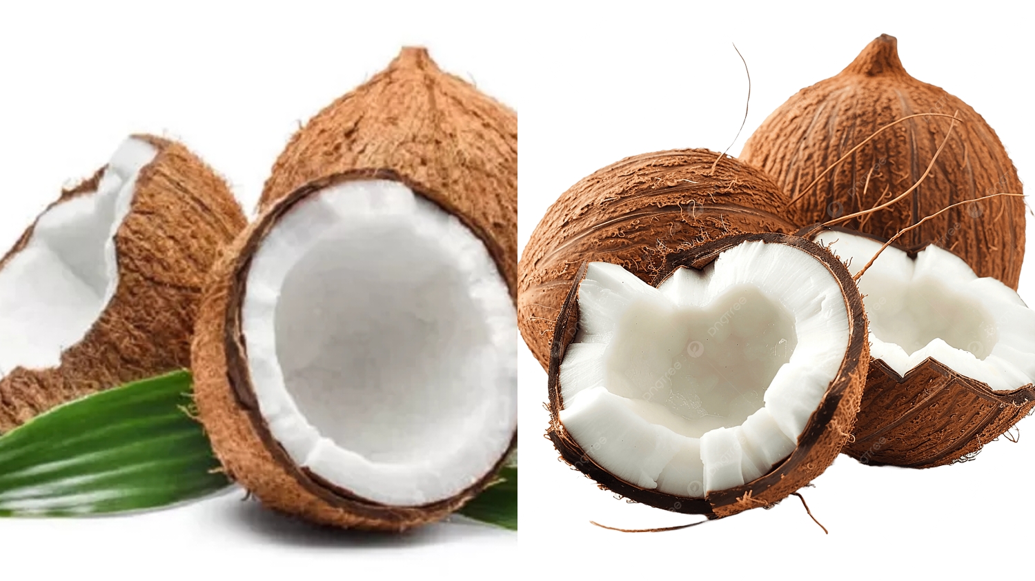 Wajib Tahu Inilah 8 Manfaat Buah Kelapa Untuk Kesehatan Yang Jarang Diketahui! 