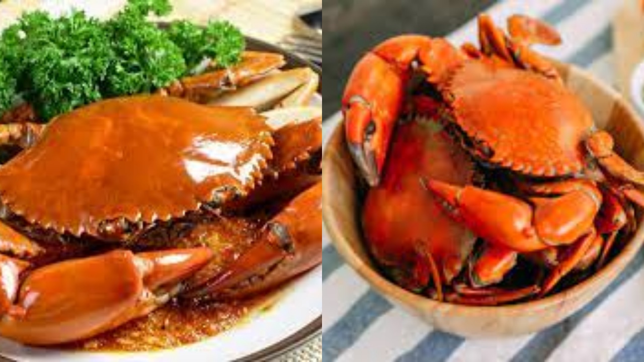 Yuk Intip! Teryata Ini Manfaat Kepiting Untuk Kesehatn Ibu Hamil Yang Luar Biasa