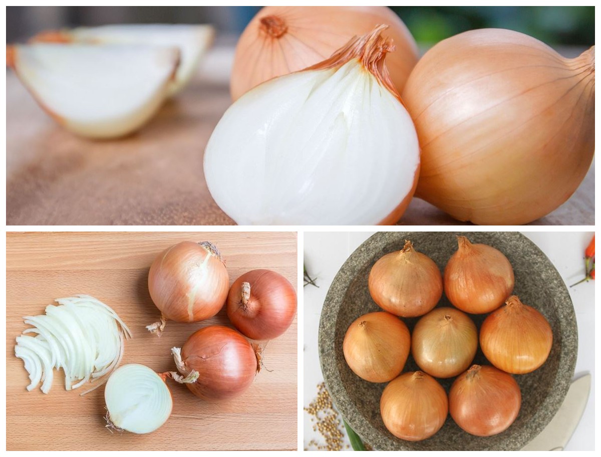 7 Manfaat Bawang Bombai bagi Kesehatan Tubuh: Rahasia Bumbu Dapur yang Kaya Nutrisi dan Penangkal Penyakit