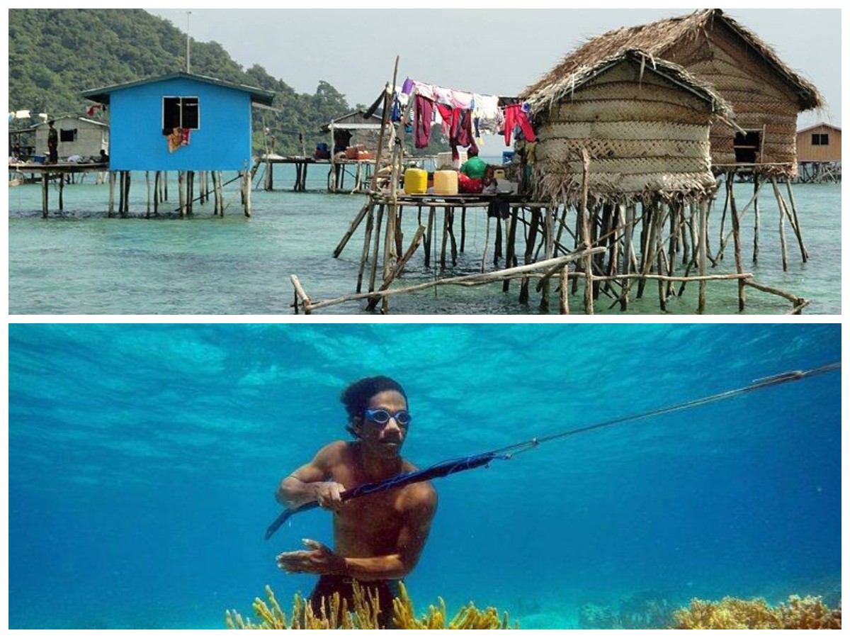 Suku Bajau, Penyelam Ulung yang Memiliki Kemampuan Tahan Napas Luar Biasa, Begini Penjelasannya!