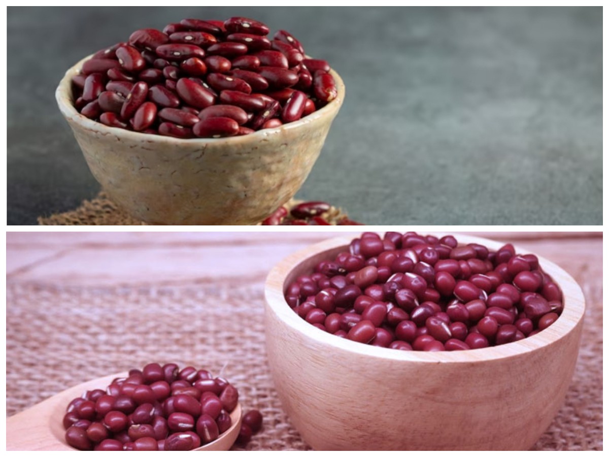 Wajib Dicoba! Segudang Manfaat Kacang Merah bagi Kesehatan dan Kebugaran Tubuh