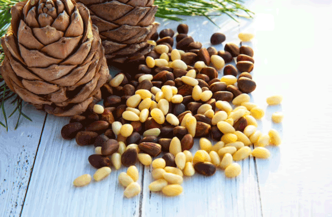 5 Rahasia Keajaiban Kacang Pinus yang Baik untuk Kesehatan, Salah Satunya Mampu Kontrol Gula Darah 